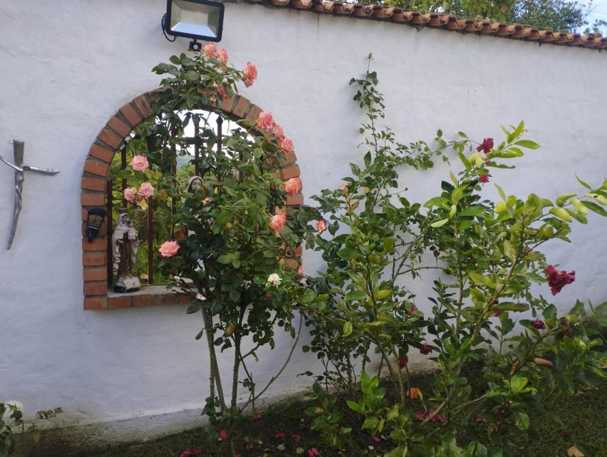 Ecohabitat Los Angeles Cabana Las Marias Villa Chinacota Exterior photo