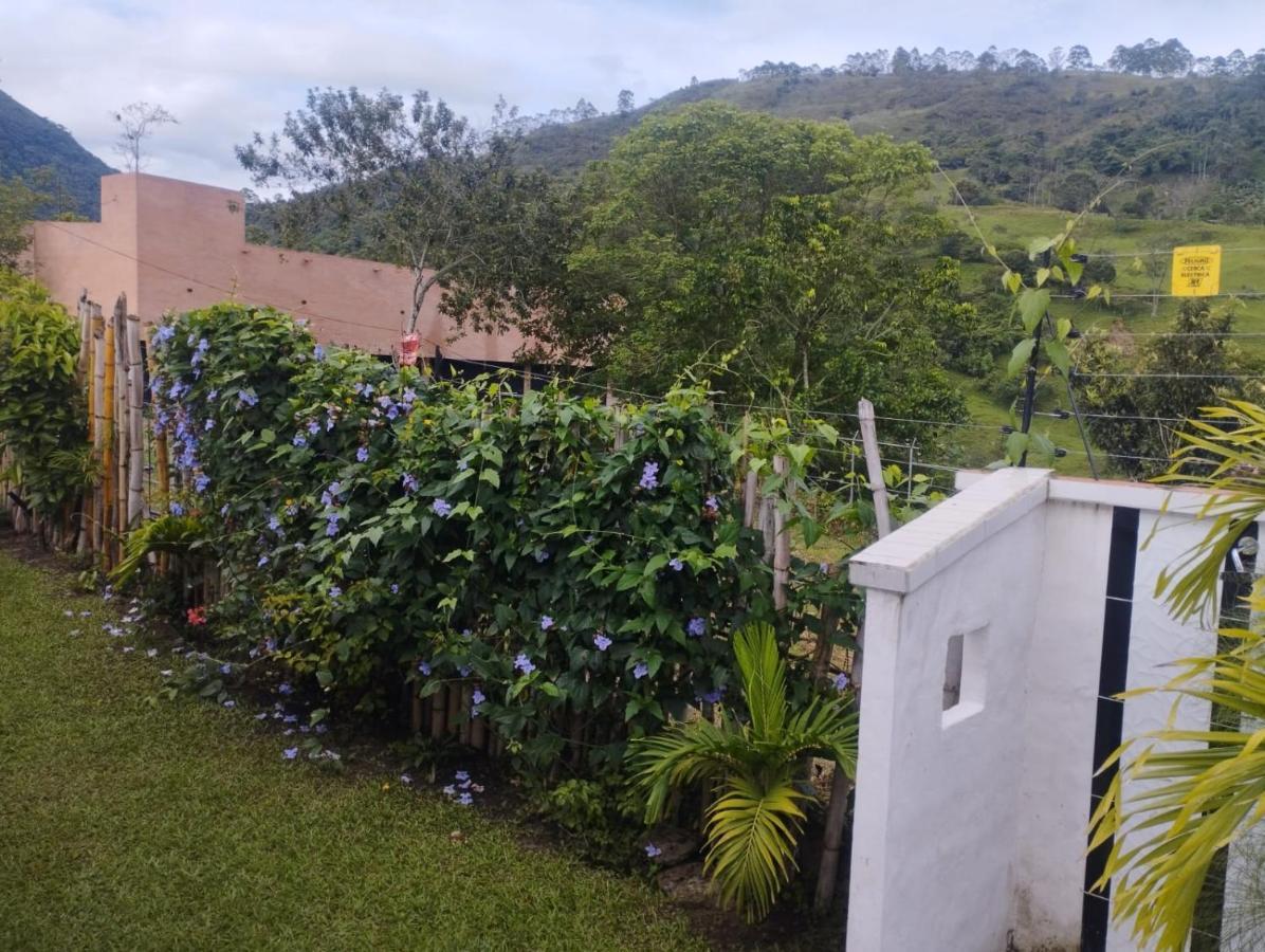 Ecohabitat Los Angeles Cabana Las Marias Villa Chinacota Exterior photo